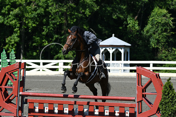 HSM_0671