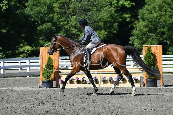 HSM_0679