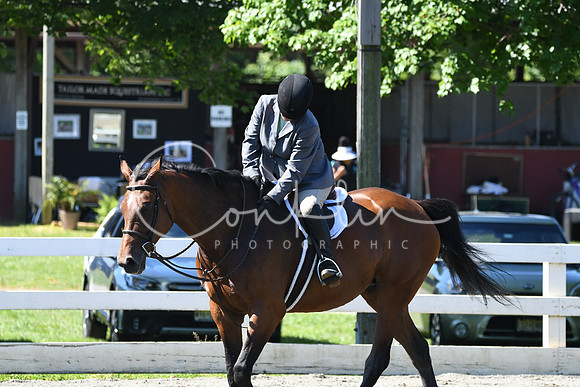 HSM_0684