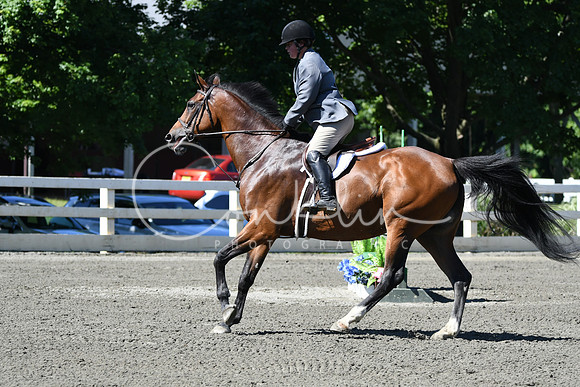 HSM_0710