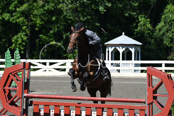 HSM_0715