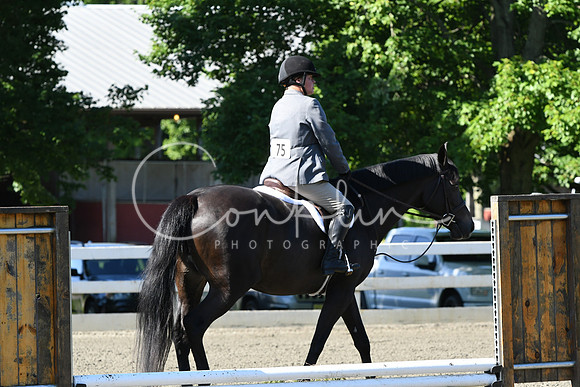 HSM_0525