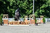 HSM_0527