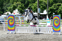 HSM_2650
