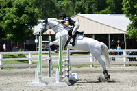 HSM_2658