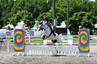 HSM_2667