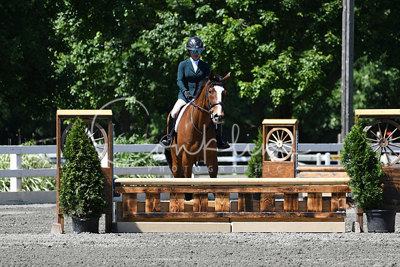 HSM_0871