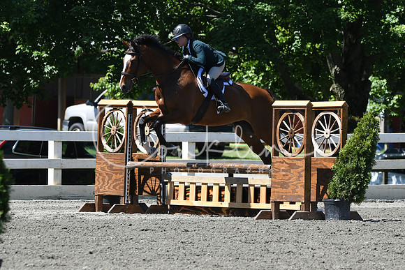 HSM_0877