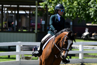 HSM_0878