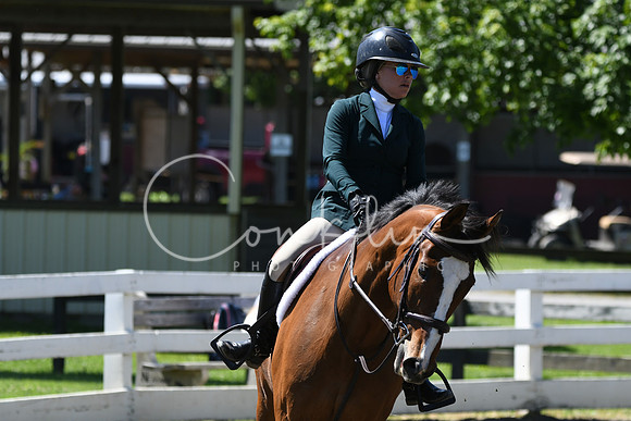 HSM_0878