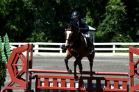 HSM_0882