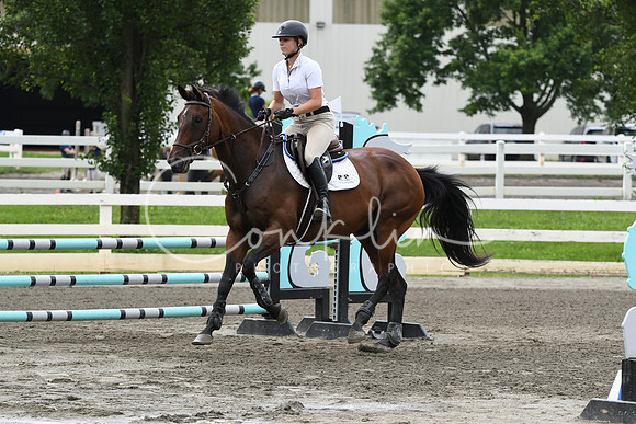HSM_4459