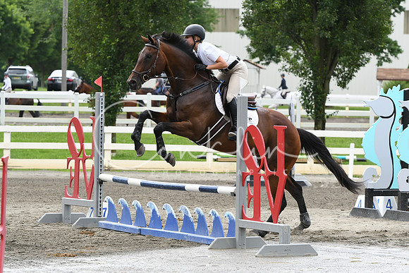 HSM_4462