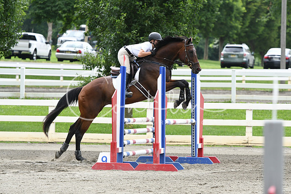 HSM_4465