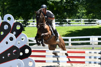 HSM_9071