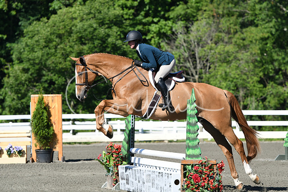 HSM_0513