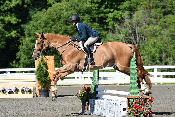 HSM_0514