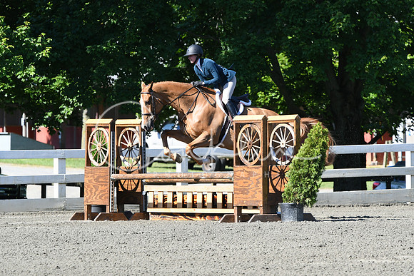 HSM_0521