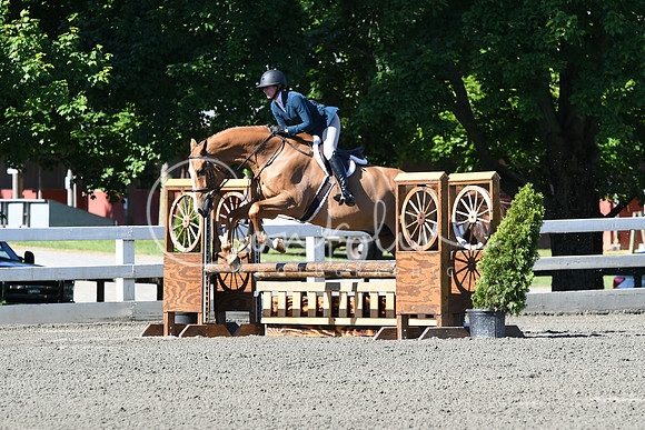 HSM_0522