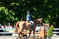 HSM_0553