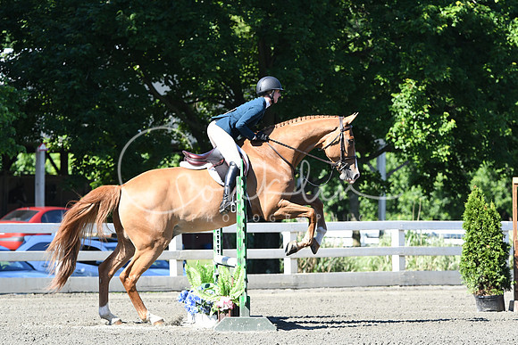 HSM_0557