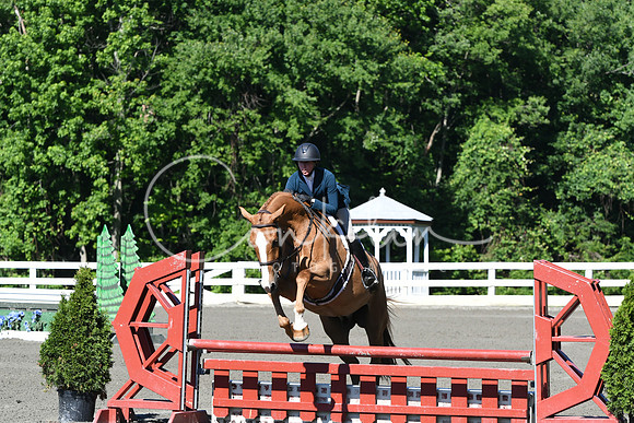 HSM_0563