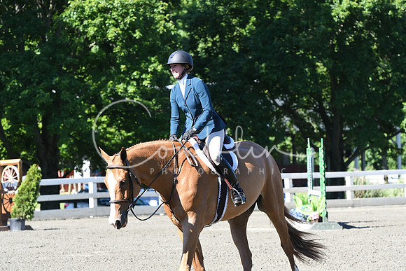 HSM_0565