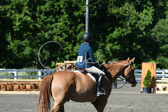 HSM_0567