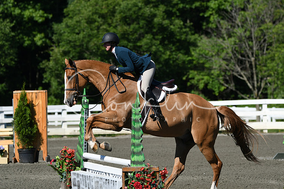 HSM_0569