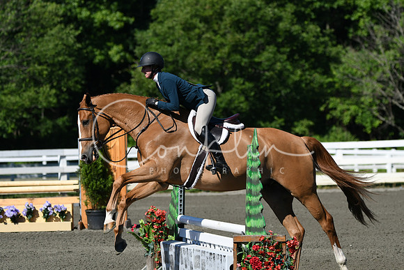 HSM_0570