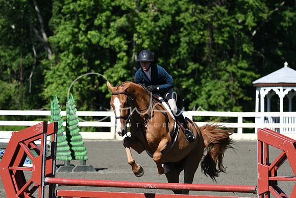 HSM_0573