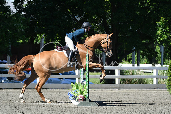 HSM_0576