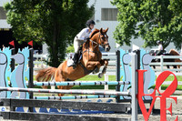 HSM_2315