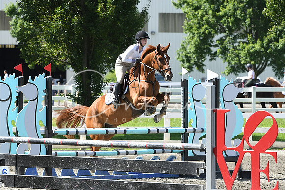HSM_2315