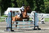 HSM_2317