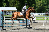 HSM_2319