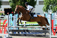 HSM_2321