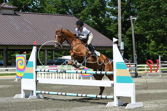 HSM_3343