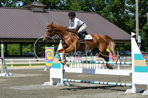HSM_3345