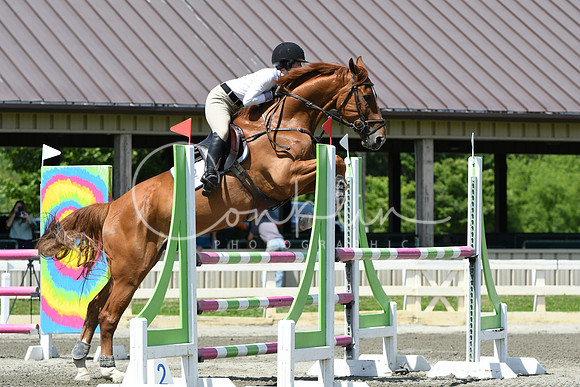 HSM_3349