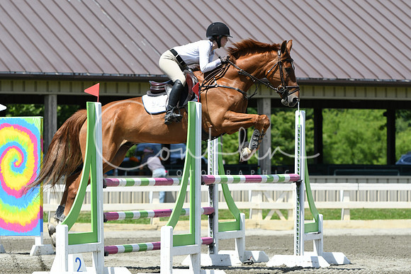 HSM_3350