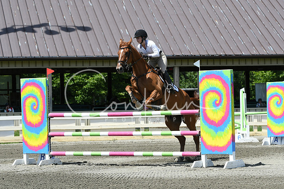 HSM_3353