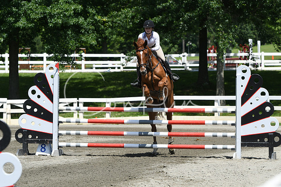 HSM_3356