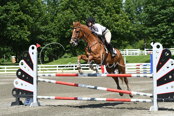 HSM_3358