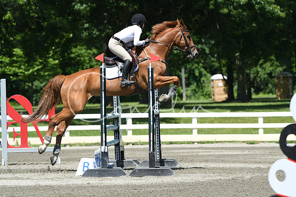 HSM_3361