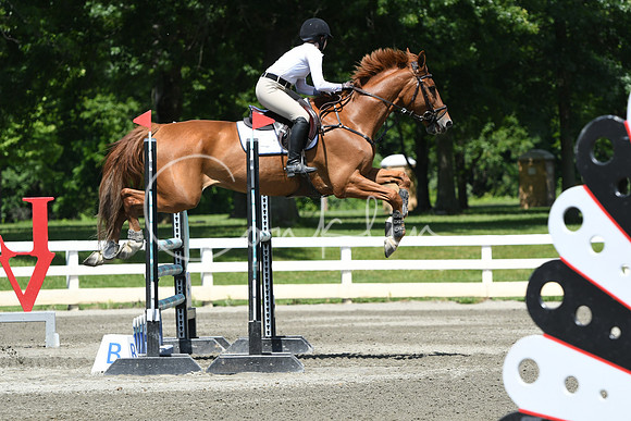 HSM_3362