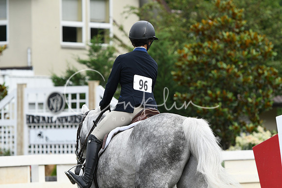 HSM_3832