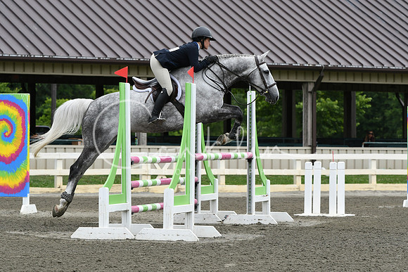 HSM_4081