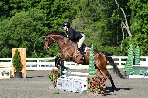 HSM_0196