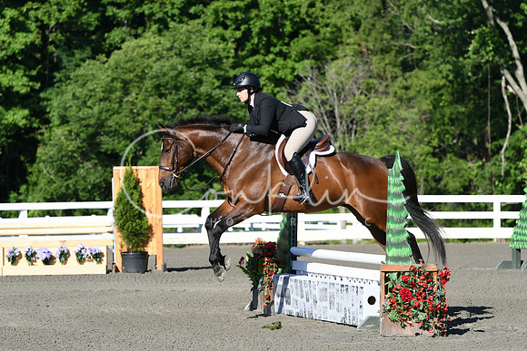 HSM_0197